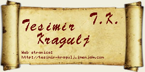 Tešimir Kragulj vizit kartica